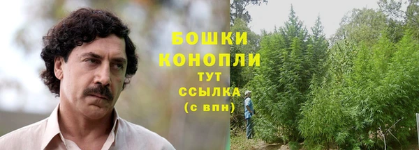 марки nbome Ельня