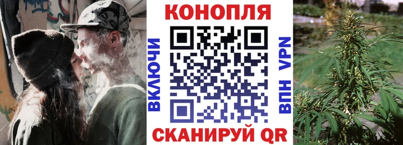 Купить закладки  Динская  Каннабис тримм 